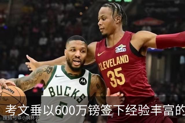 考文垂以600万镑签下经验丰富的中卫平诺克